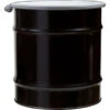 20 Gallon Steel Drum, UN Rated, Cover W/Bolt Ring, Lined -Pagagoo Shop 26w21g 1 6